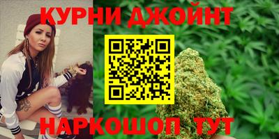 трава Новозыбков