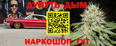 трава Новозыбков