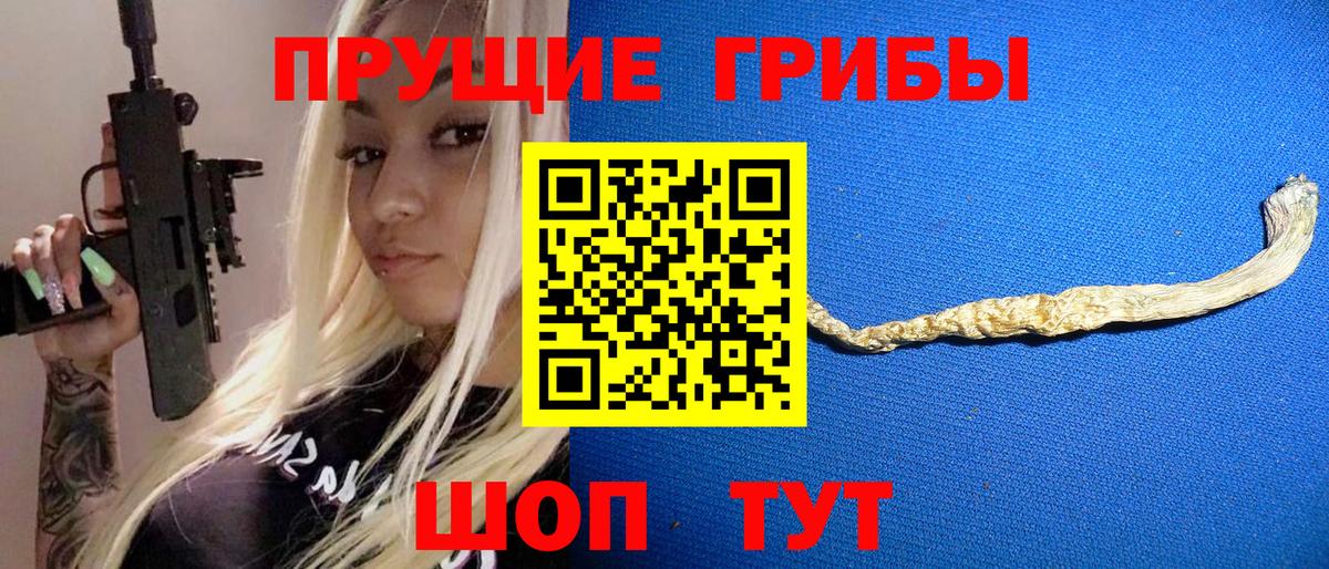 Галлюциногенные грибы мухоморы  купить наркотики цена  Вход с VPN  Тавда  Галлюциногенные грибы мицелий 